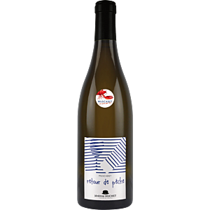 Jérémie Huchet Muscadet Retour de Pêche